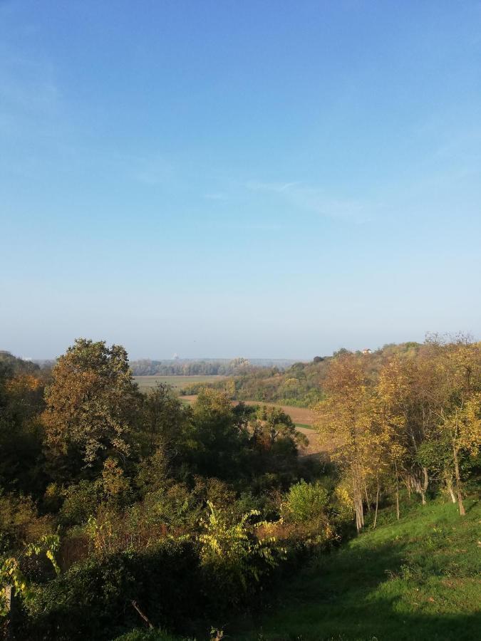 Kuca Za Odmor Kustura Holiday home