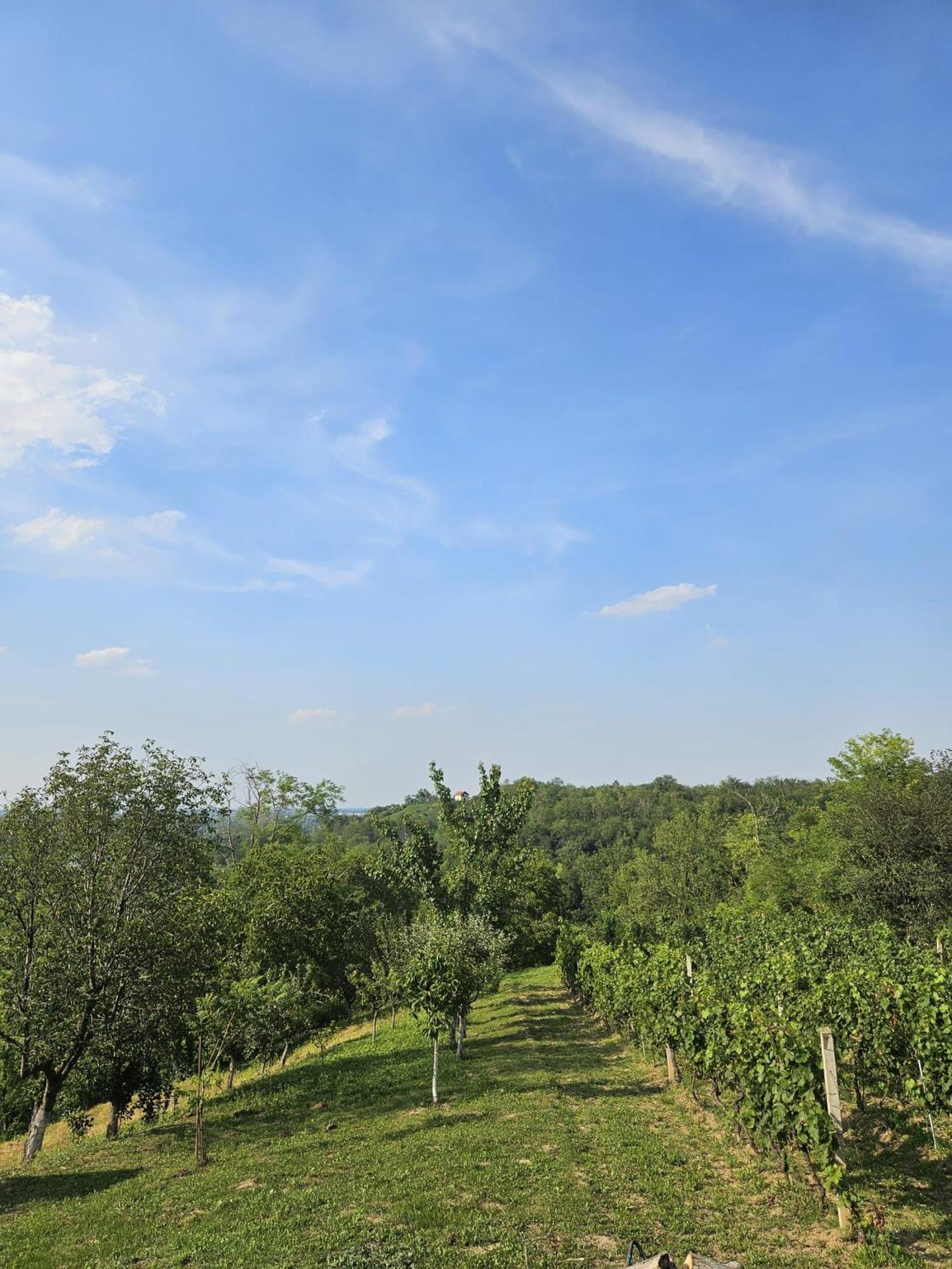 Kuca Za Odmor Kustura Ilok