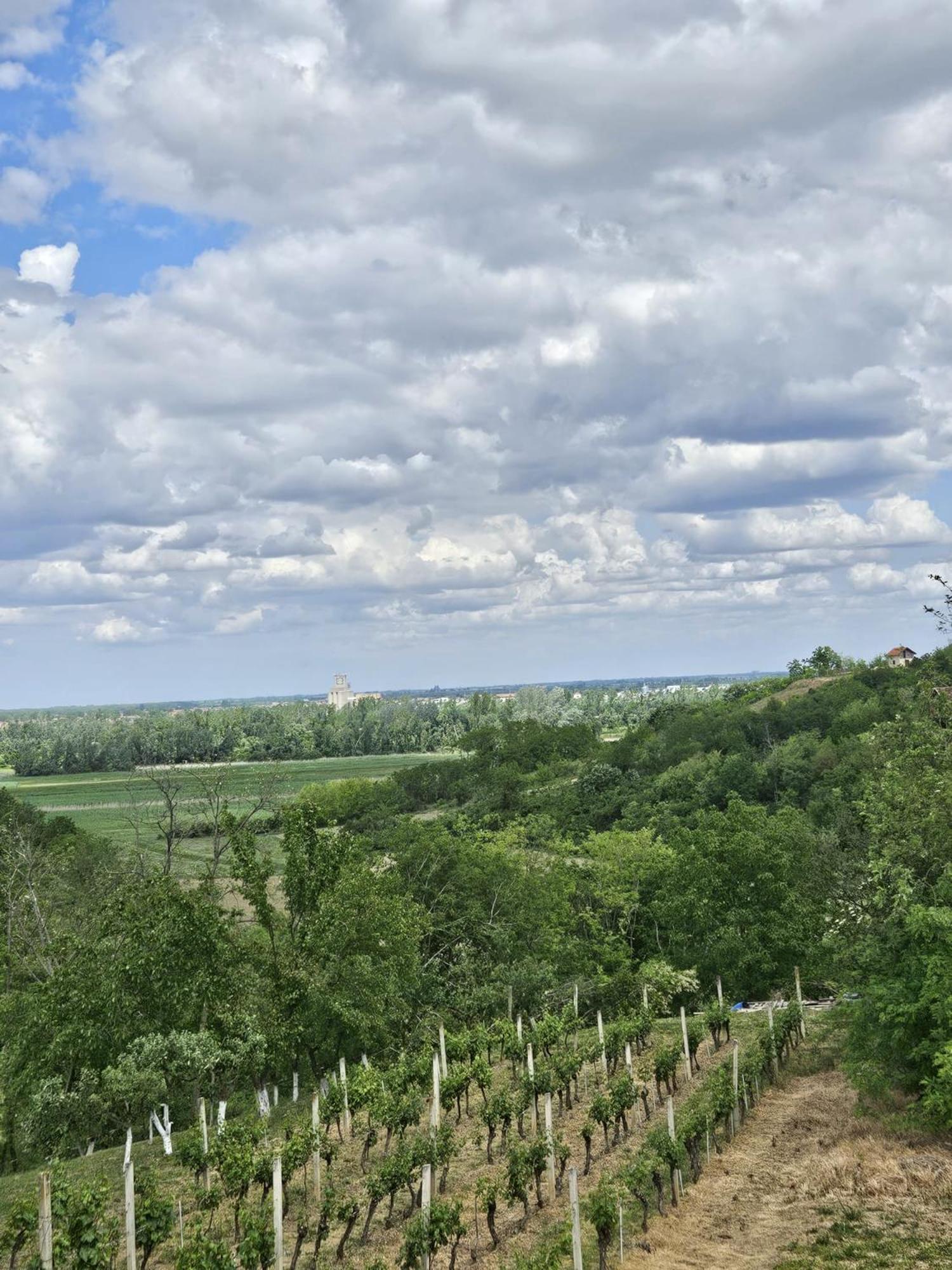 Kuca Za Odmor Kustura Holiday home